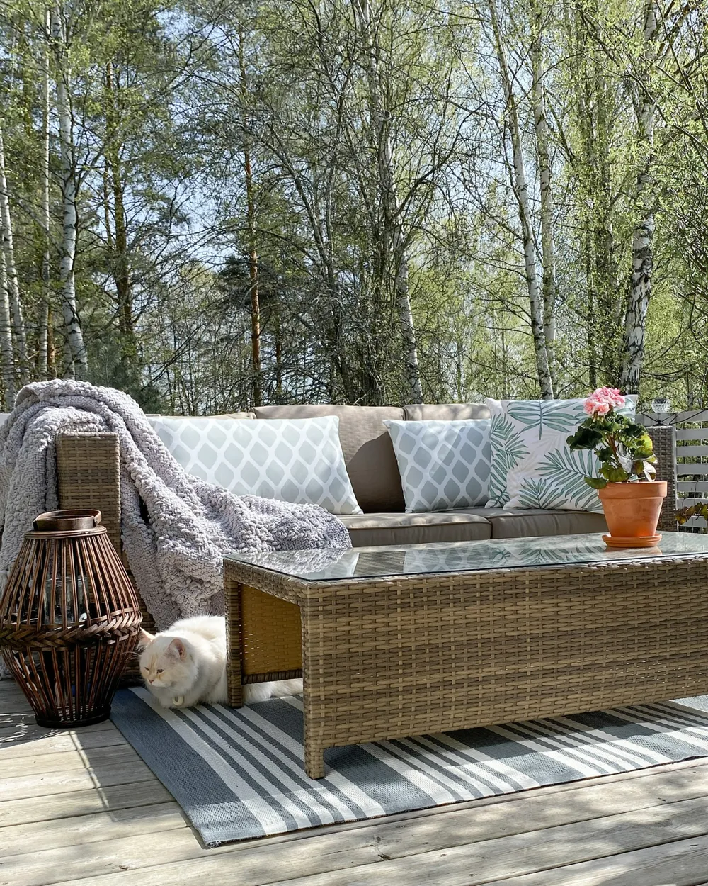 Lounge Set mit Tisch 5-Sitzer BELLUNO Polyrattan Braun_983681