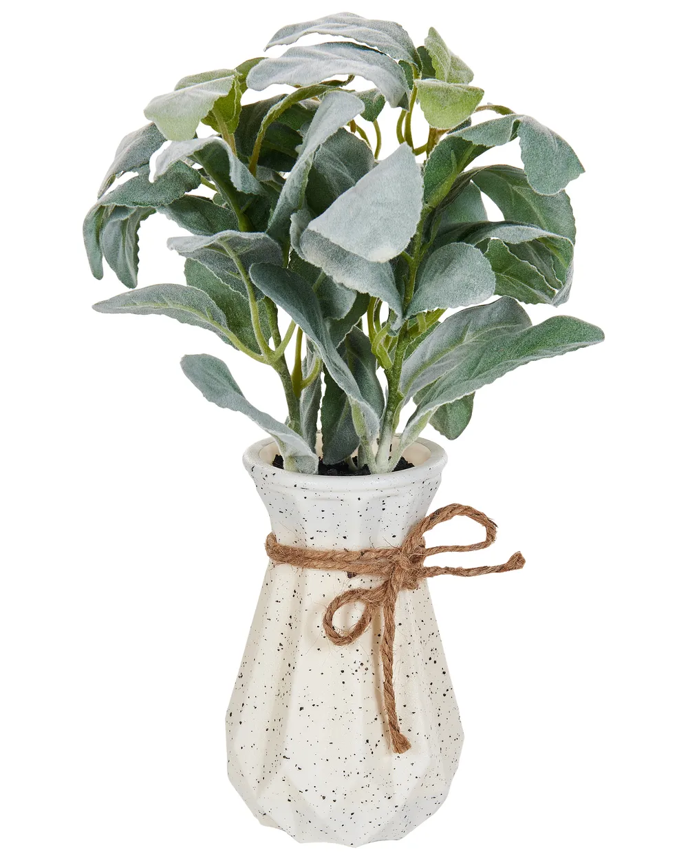 Kunstpflanze PEPEROMIA ARGYREIA 30 cm Grün_947223