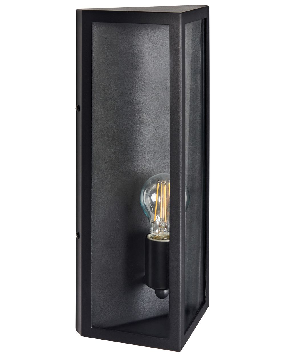 Outdoor Wall Light PACTOLUS Black