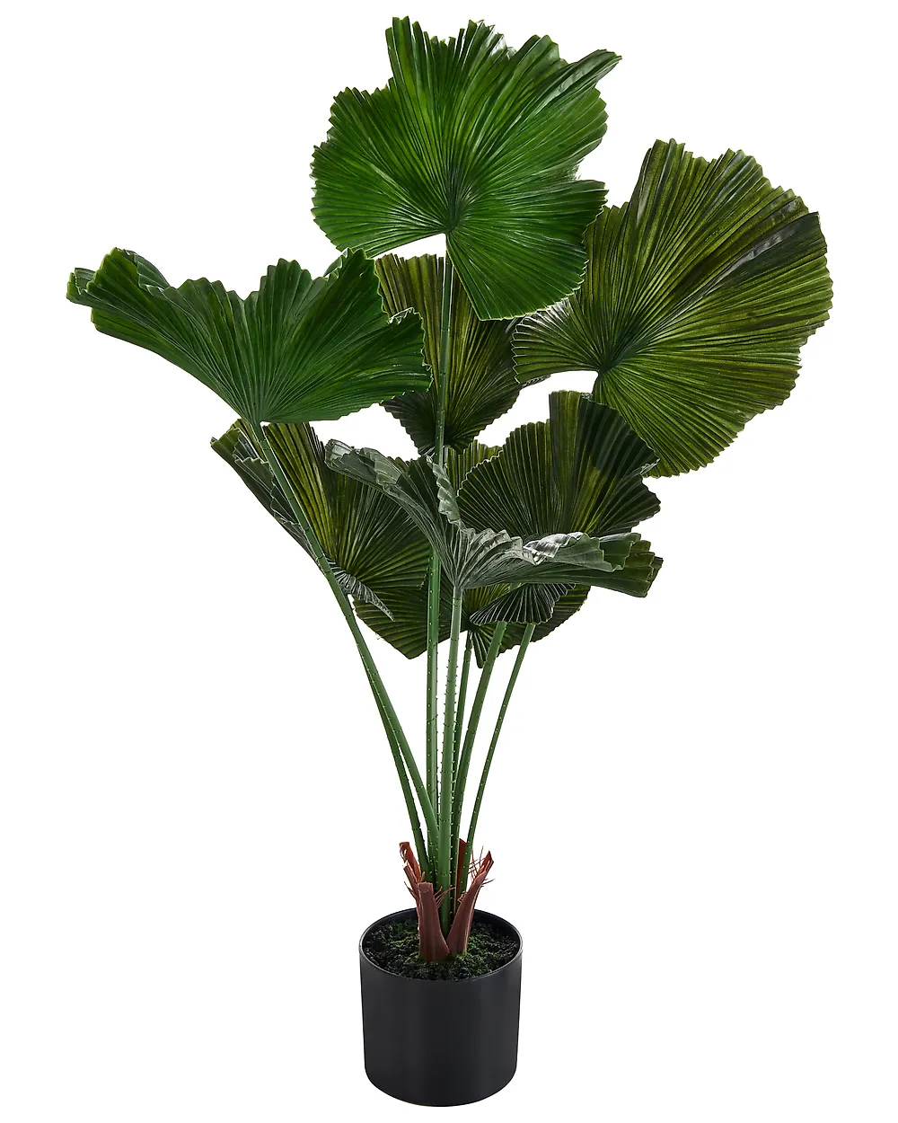 Artificial Plant RUFFLED FAN PALM 98 cm Green