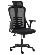 Bürostuhl ERGONOX Schwarz_1065522
