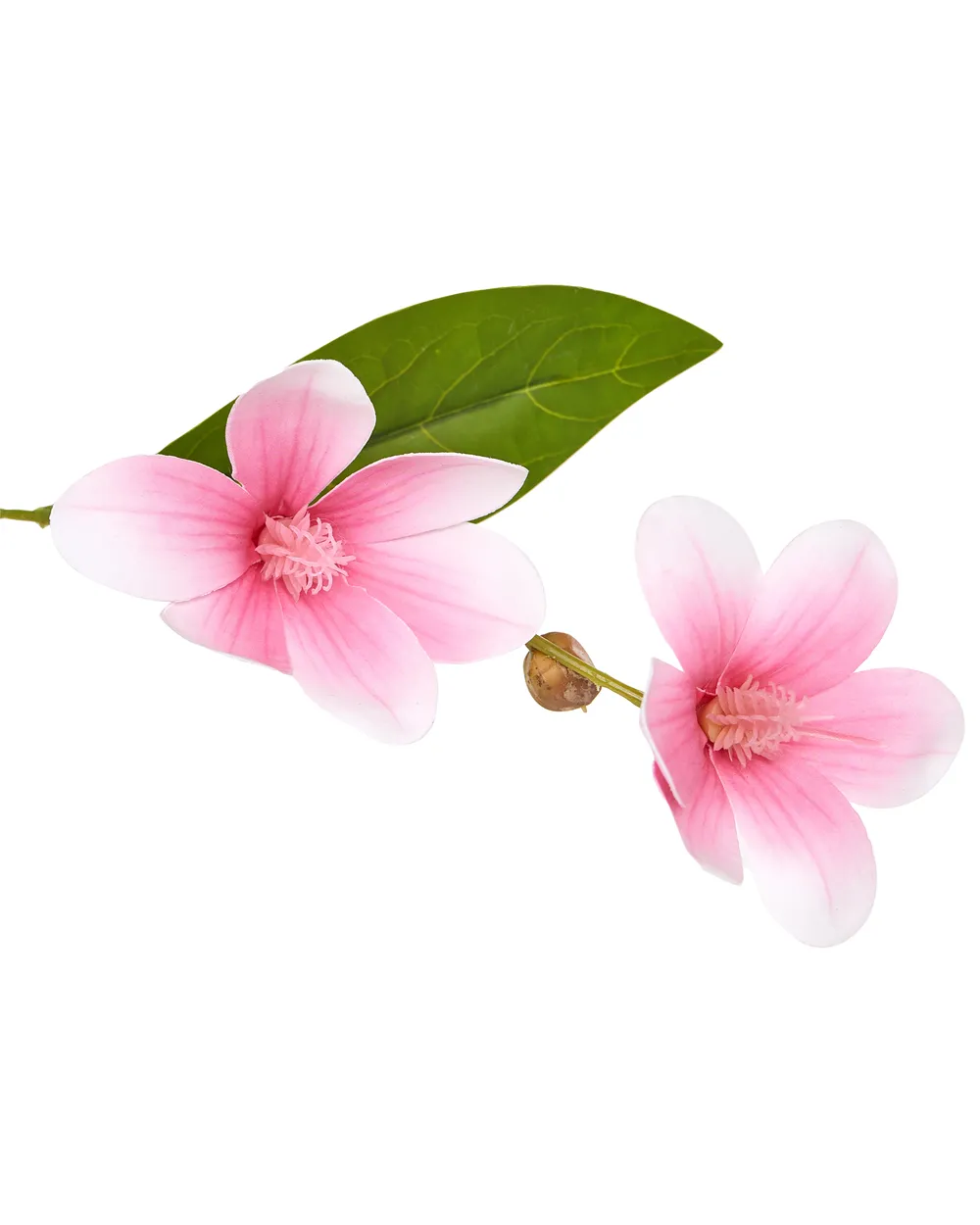 Kunstpflanze MAGNOLIA TREE 128 cm Grün_1069918
