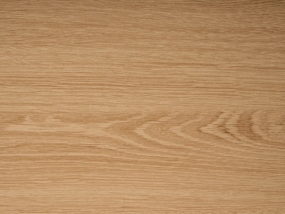 Sideboard mit 4 Türen DELORAINE Hellbraun_1078153