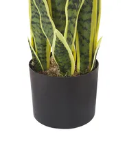 Kunstpflanze SNAKE PLANT 63 cm Grün_774038