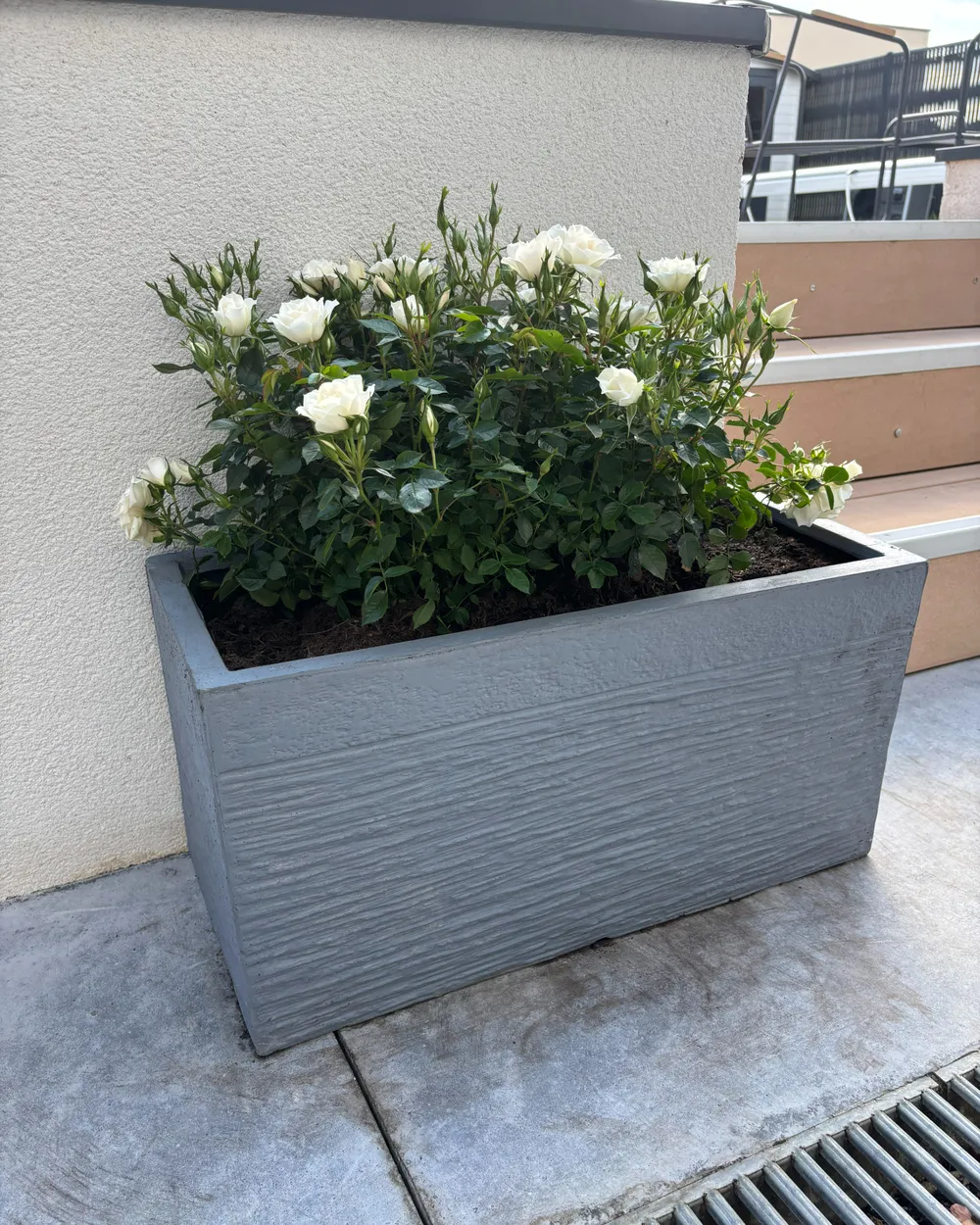 Blumenkübel MYRA 60 cm Grau_982334
