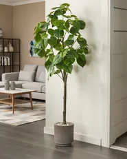 Artificial Plant FICUS TREE 160 cm Green_1028506