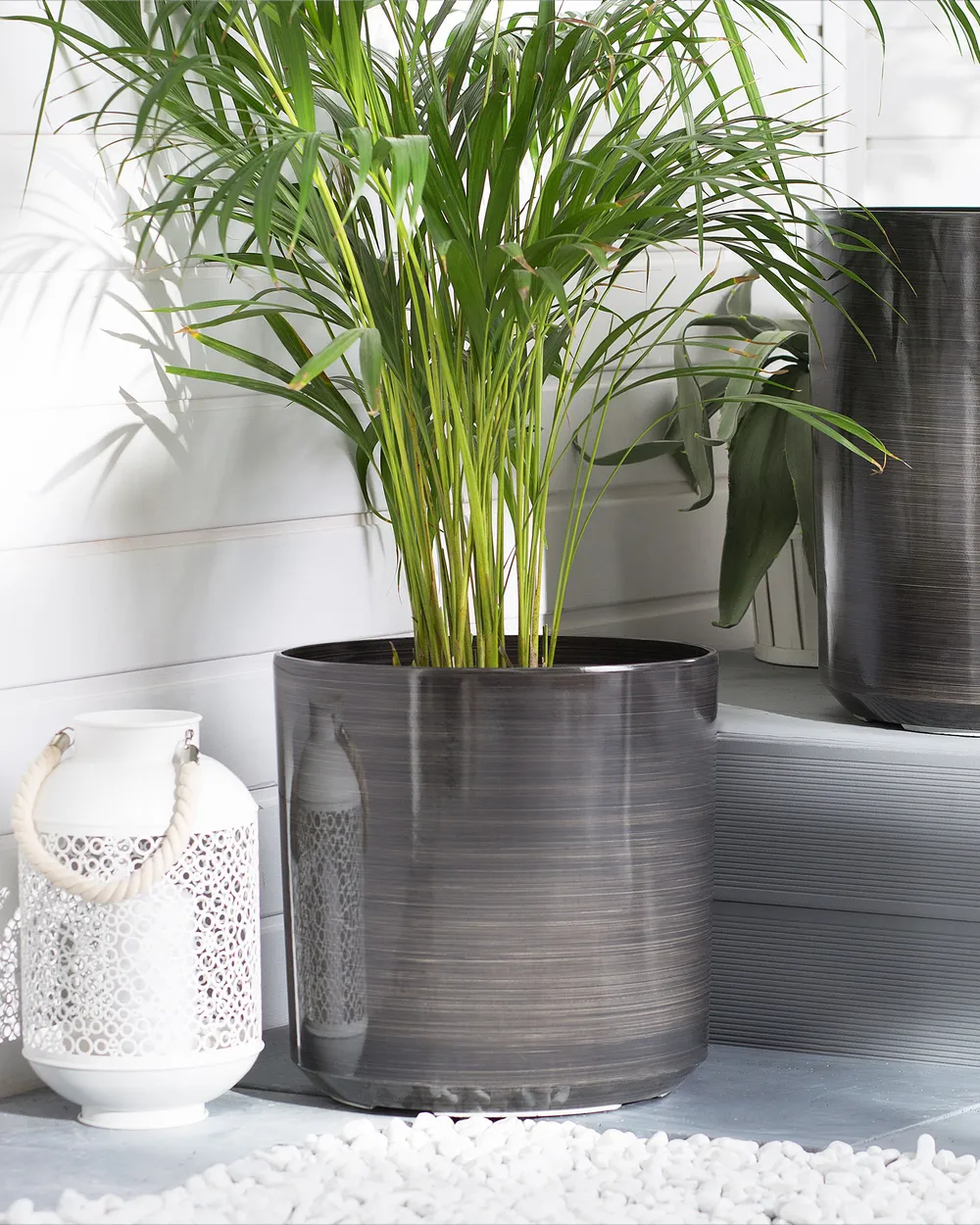 Blumenkbel VAGIA 35 cm Grau - Beliani.de
