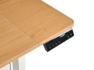 Schreibtisch elektrisch höhenverstellbar LUCAMA 120 cm 60 cm mit USB-Anschluss Hellbraun / Weiß_1031014