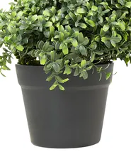 Kunstpflanze BUXUS SPIRAL TREE 98 cm Grün_901129