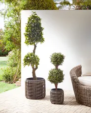 Set mit 2 Blumentöpfen BRODIEA 26/45 cm Polyrattan Hellbraun_897183