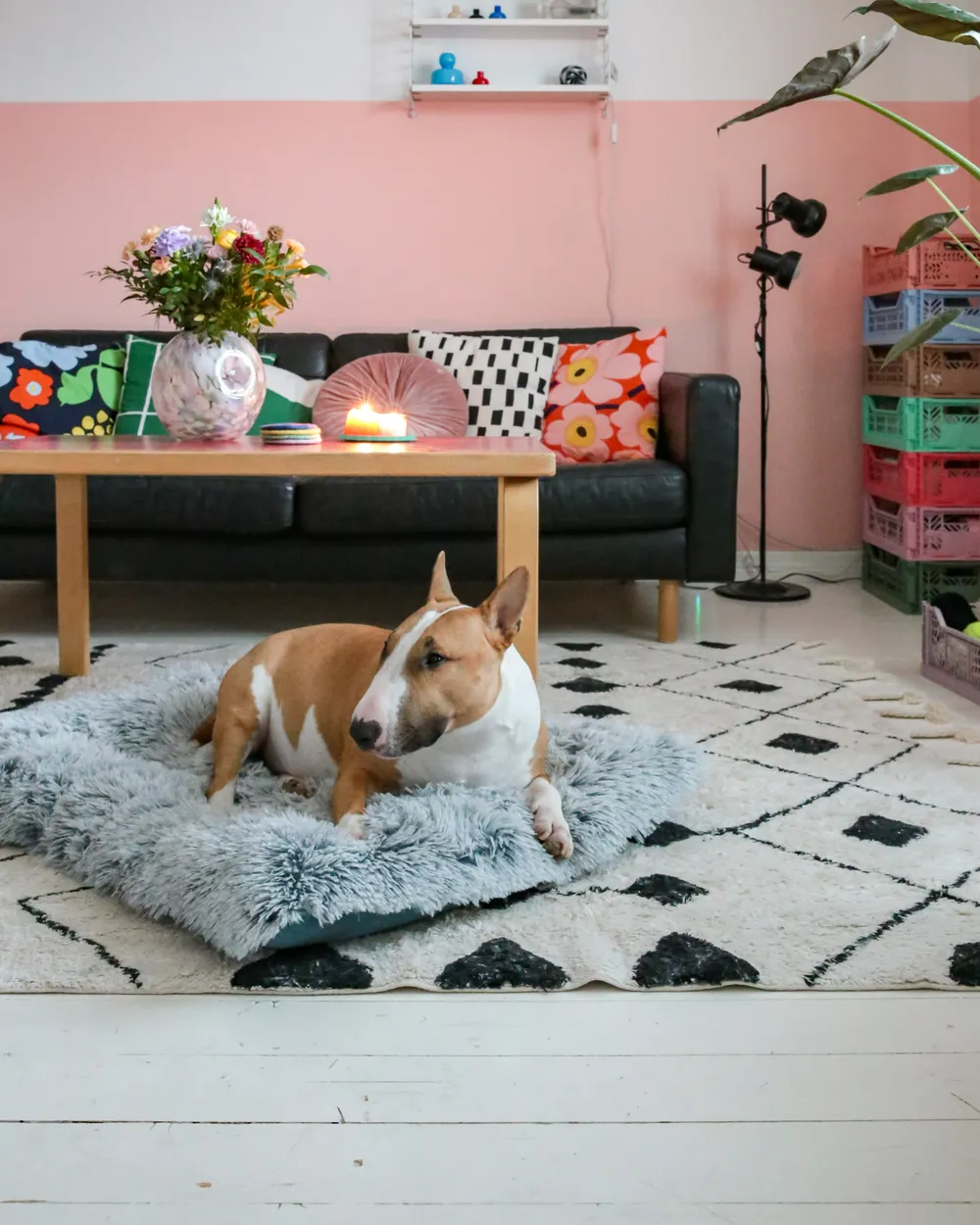 Pet Bed ERGANI Velvet Grey_980233