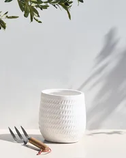 Blumenkübel LIVADIA 19 cm Cremeweiß_871570