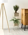 Pflanzenständer COTINUS 20 cm Metall Beige