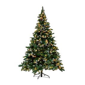 Kerstbomen