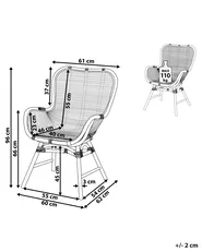 Dining Chair TOGO Rattan Natural_794177