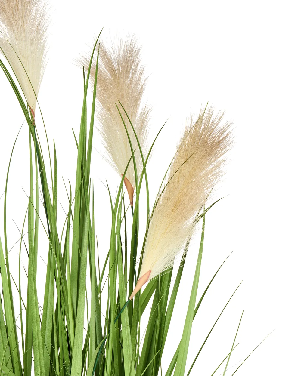 Kunstpflanze PAMPAS GRASS 130 cm Grün_995295