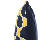 Lot de 2 coussins décoratifs MUSCARI 45 x 45 cm Coton Jaune Bleu Ikat_769147