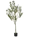 Kunstpflanze OLIVE TREE 153 cm Grün