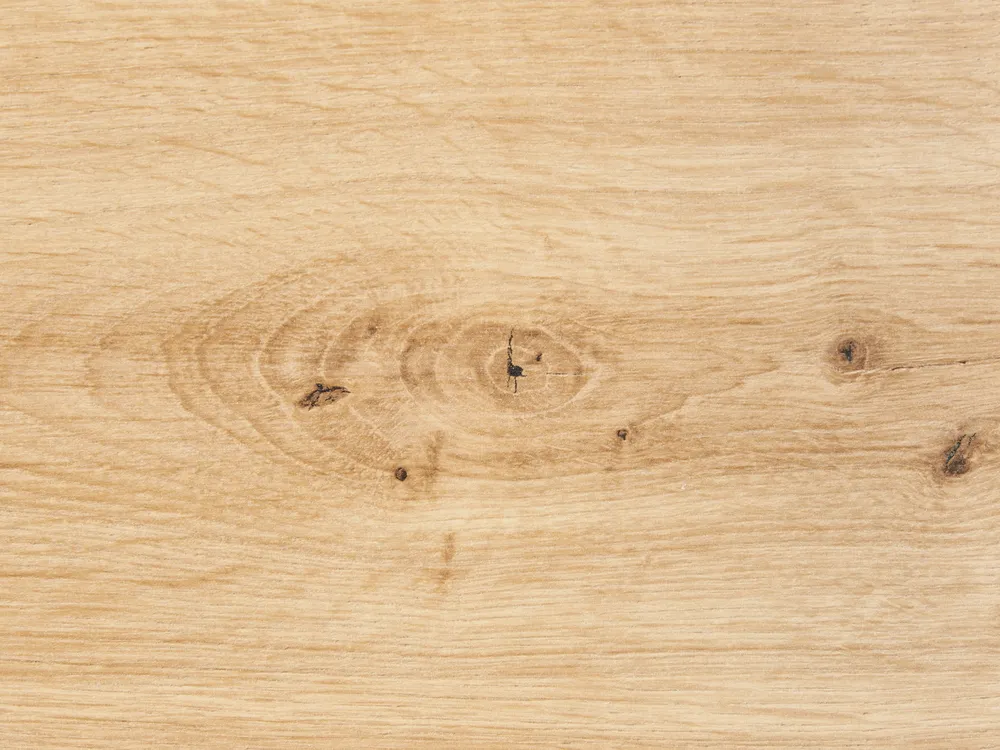 Sideboard mit 2 Türen KENORA Hellbraun_956060