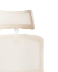 Bürostuhl MONARCH Beige_978943
