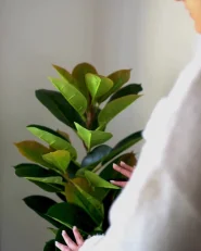 Artificial Plant FICUS ELASTICA 134 cm Green_976684