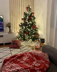 Dekokissen 2er Set COMET 45 x 45 cm Dunkelrot Weihnachtsmotiv_884535