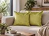 Set of 2 Decorative Cushions DELICIOSA 45 x 45 cm Velvet Light Green Plant Pattern