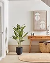 Artificial Plant DIEFFENBACHIA 110 cm Green