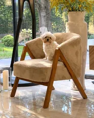 Sessel SKEI Webpelz Beige_1165047