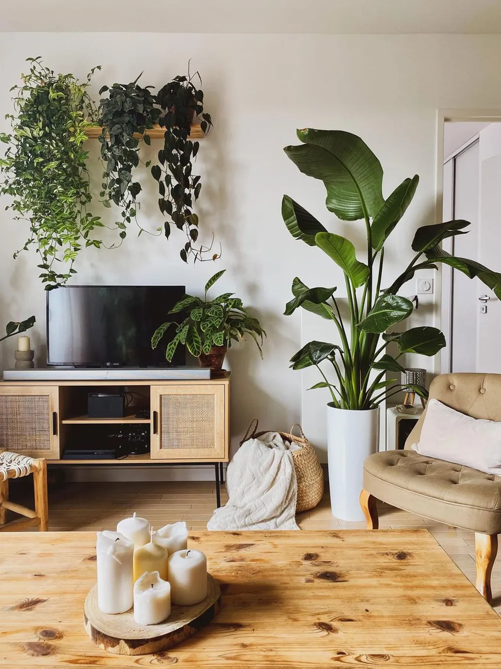 TV-Möbel PASCO Rattan Hellbraun_834737