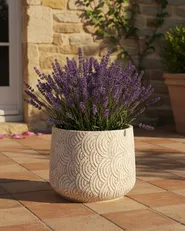 Blumenkübel ERIROS 31 cm Hellbeige_1032414