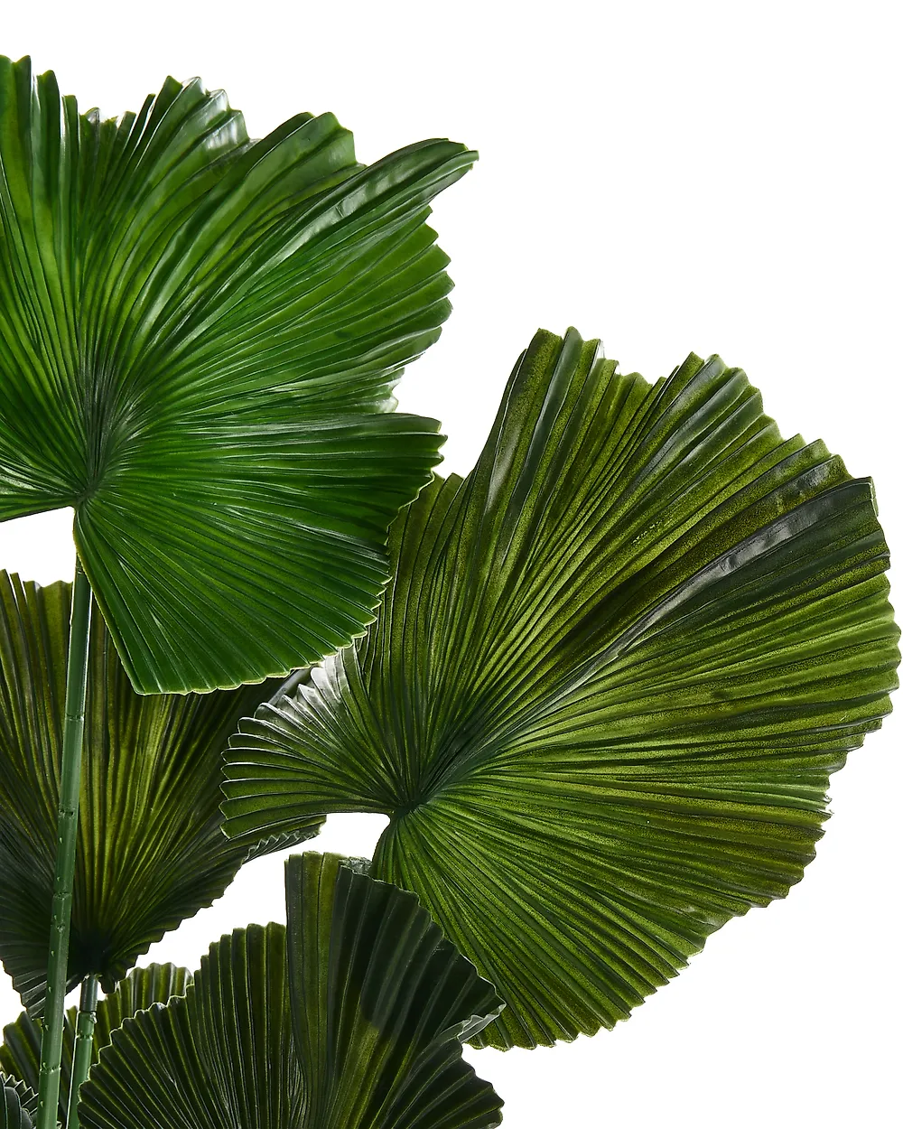 Umetna rastlina RUFFLED FAN PALM 98 cm Zelena_1185283