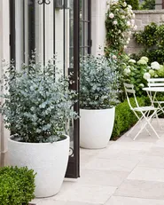 Set of 2 Plant Pots FRITILLARIA 50 cm Off-White_1123904
