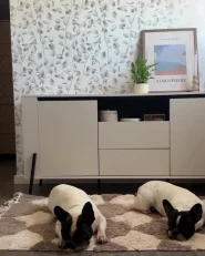 2 Door Sideboard BLACKPOOL White_1027710