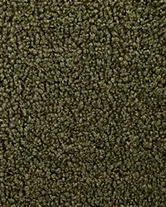 Set of 2 Dining Chairs ALDEN Boucle Dark Green_968376