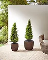 Set mit 2 Blumentöpfen BERBERIS 34/45 cm Polyrattan Dunkelbraun