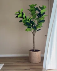 Artificial Plant FIG TREE 162 cm Green_1006140