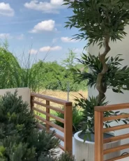 Artificial Plant RUSCUS TREE 166 cm Green_998055