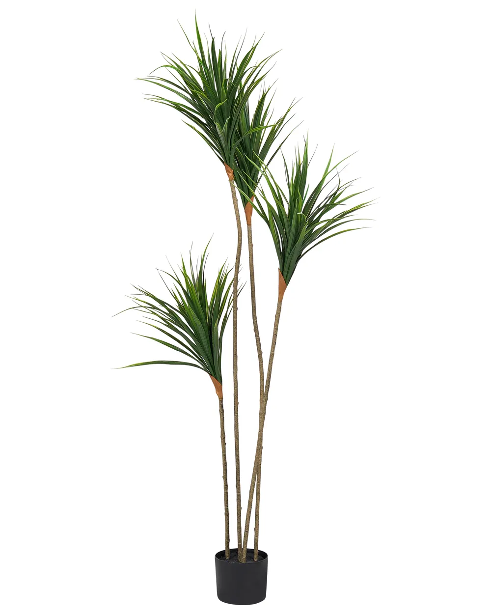 Kunstpflanze DRACAENA DRACO 165 cm Grün