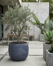 Blumenkübel BAIYUN 47 cm Grau_1049771