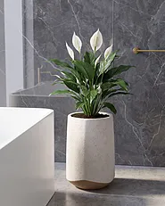 Plant Pot JAUNTAL  32 cm Off-White_1161794