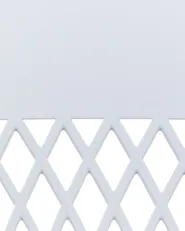 Set of 2 Dining Chairs ALMIRA Light Grey_861908