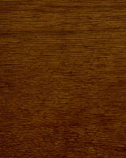Set of 2 Dining Chairs MINIER Wood Green/ Dark Brown_1013744