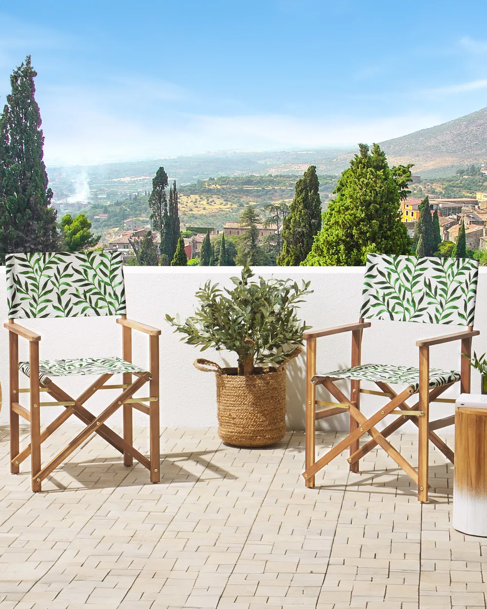 Set of 2 Garden Chairs CINE Acacia Wood White