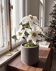 Umjetna biljka CHRISTMAS FLOWER 61 cm Bijeli_1174958