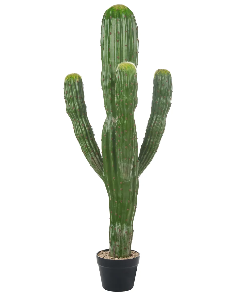 kunstpflanzen deutschland Kunstpflanzen Wand Eukalyptus 50x50 cm UV – Easyplants Deutschland main image 0