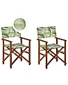 Set of 2 Garden Chairs CINE Acacia Wood Light Green