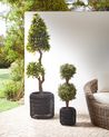 Set mit 2 Blumentöpfen BRODIEA 26/45 cm Polyrattan Schwarz