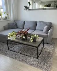 Couchtisch ALTOS Grauer Betoneffekt_923597