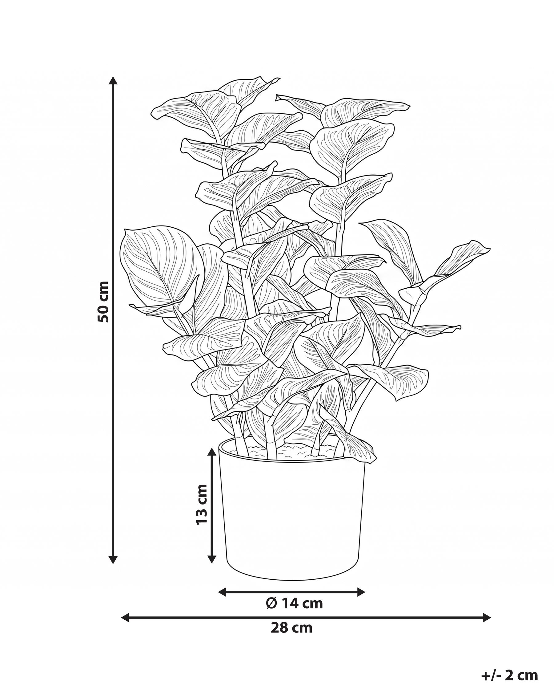 Konstgjord växt ORBIFOLIA 50 cm Grön | Beliani.se